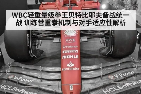 WBC轻重量级拳王贝特比耶夫备战统一战 训练营重拳机制与对手适应性解析