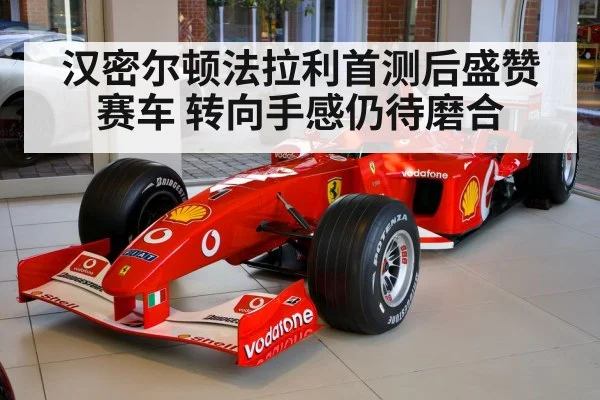 Hamilton Ferrari test