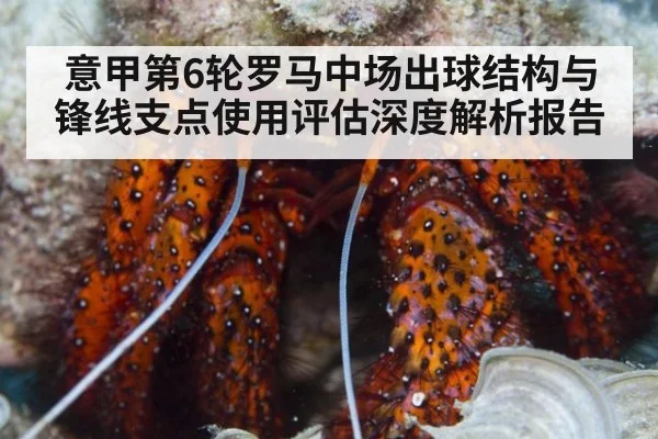 意甲第6轮罗马中场出球结构与锋线支点使用评估深度解析报告
